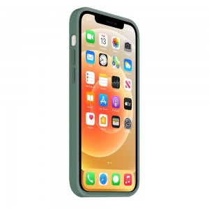 Coque Silicone Moxie BeFluo Fine et Légère pour iPhone, Intérieur Microfibre - Pin vert