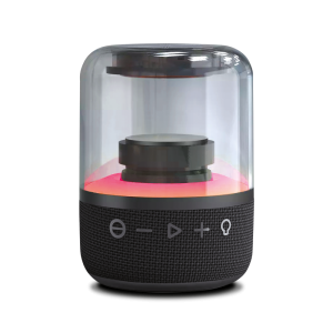 Rechargeable Bluetooth speaker