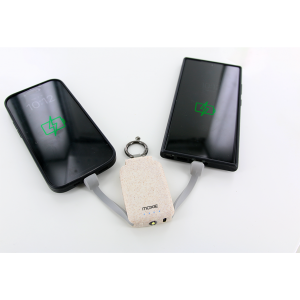 Eco friendly Keychain Mini Power Bank  2000mah Dual USB Portable Charger