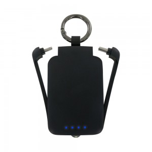 Eco friendly Keychain Mini Power Bank  2000mah Dual USB Portable Charger