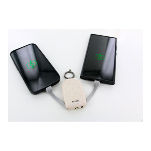 copy of Eco friendly Keychain Mini Power Bank  2000mah Dual USB Portable Charger