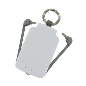 copy of Eco friendly Keychain Mini Power Bank  2000mah Dual USB Portable Charger